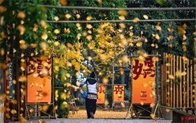 从更新指南到“秘密”递表 港股IPO“科企专线”正式推出